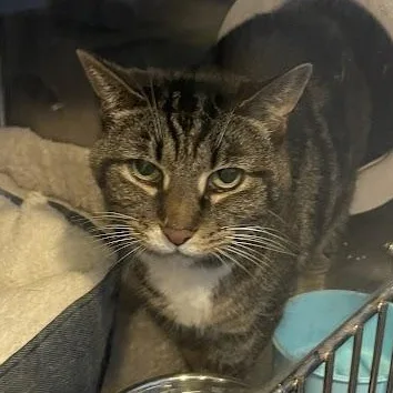 Lucy Bac thumbnail 5