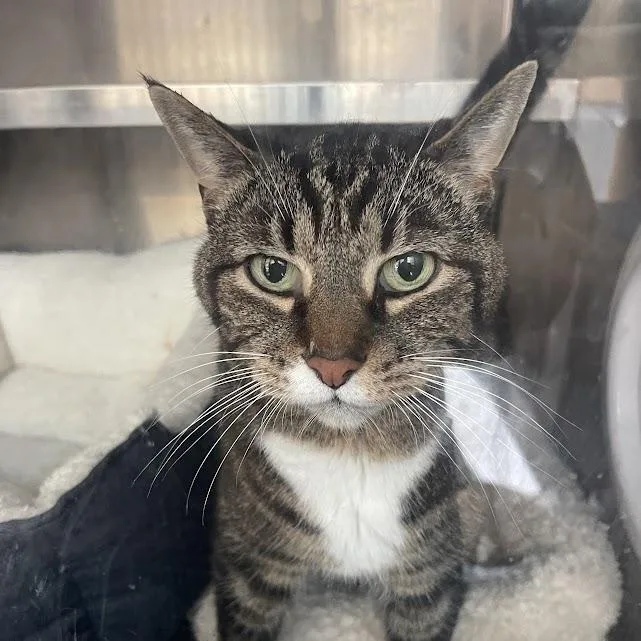 Lucy Bac thumbnail 6