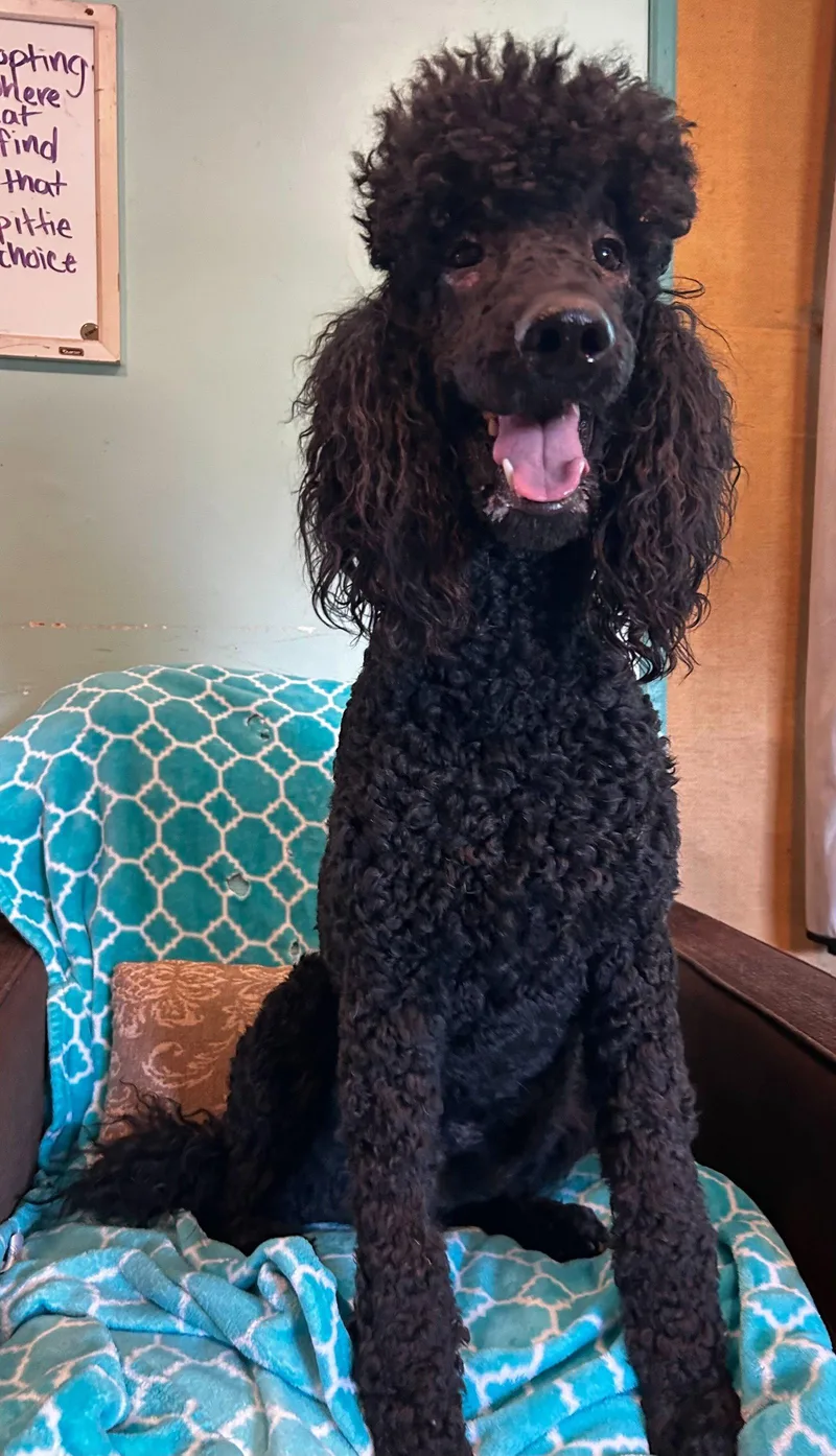 Wyatt Feb thumbnail 3