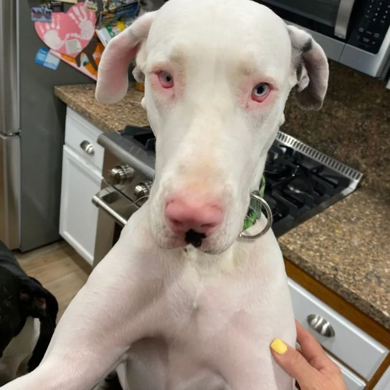 Darla Jean thumbnail 6