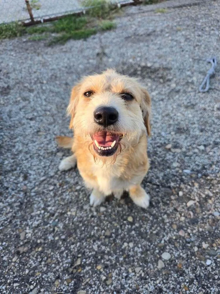 Ella
