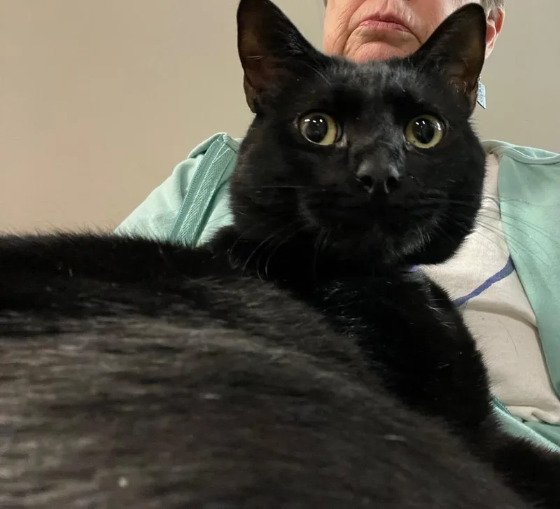 Pookie Fka Spooky thumbnail 4