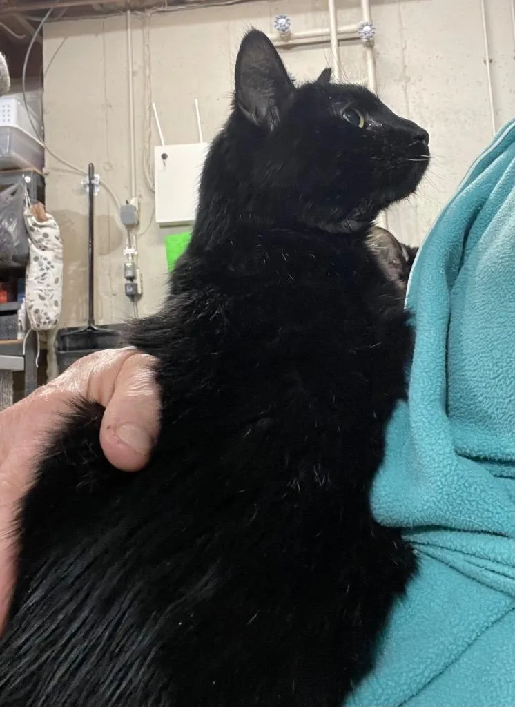 Pookie Fka Spooky thumbnail 5