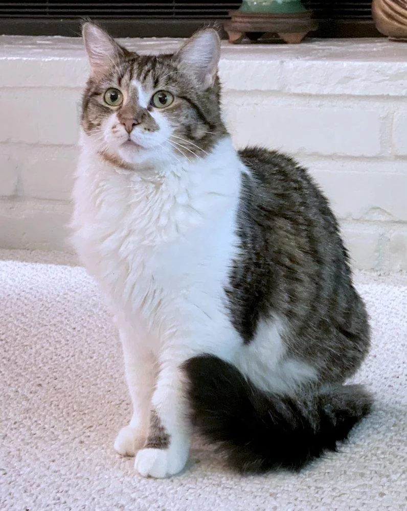 Marnie And Malcolm thumbnail 2