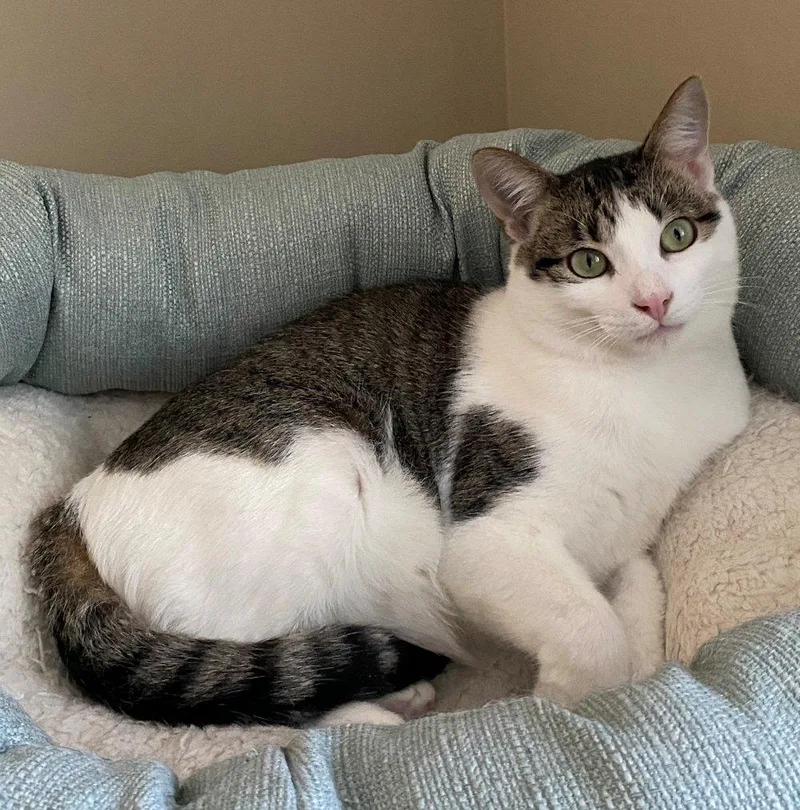 Marnie And Malcolm thumbnail 4