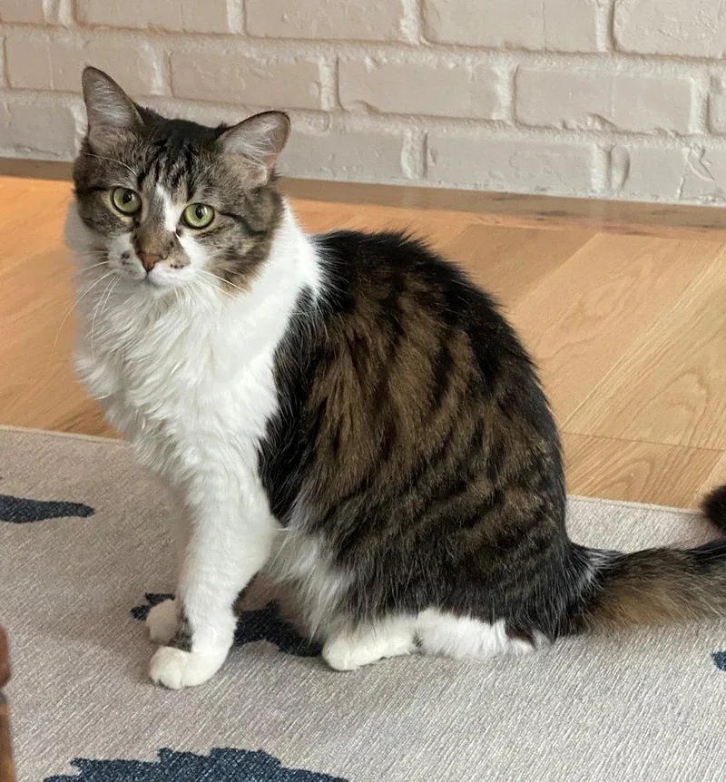 Marnie And Malcolm thumbnail 5