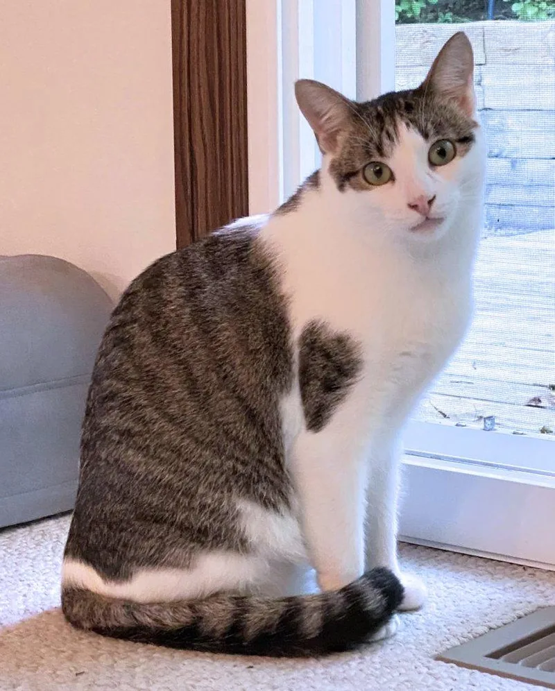 Marnie And Malcolm thumbnail 6