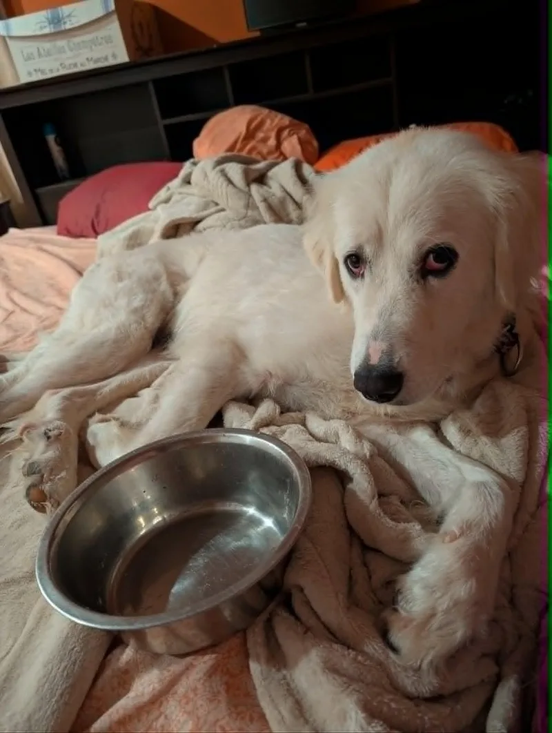 Sadie  AKA Say thumbnail 2