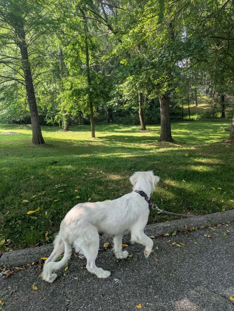 Sadie  AKA Say thumbnail 3