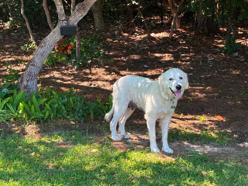 Sadie  AKA Say thumbnail 4