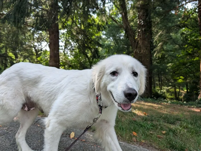 Sadie  AKA Say thumbnail 5