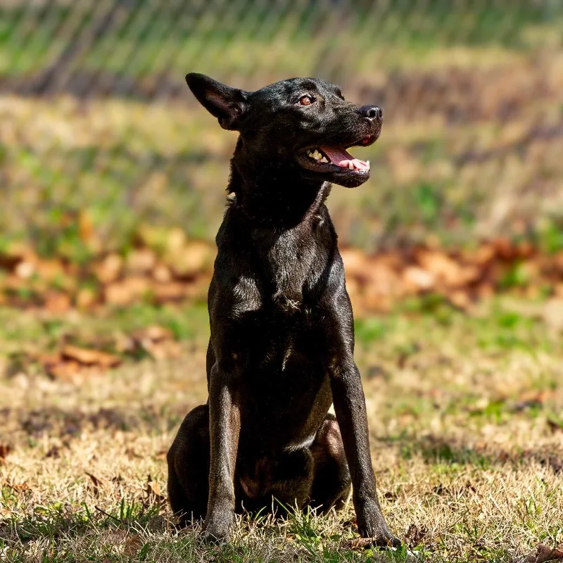 Vera Fang thumbnail 2