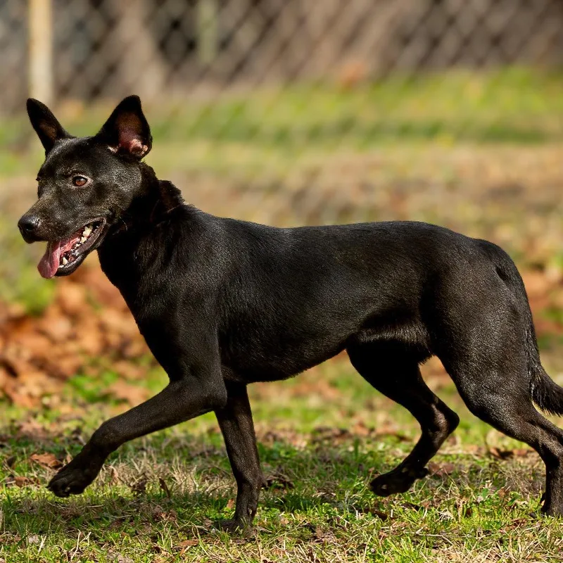 Vera Fang thumbnail 5