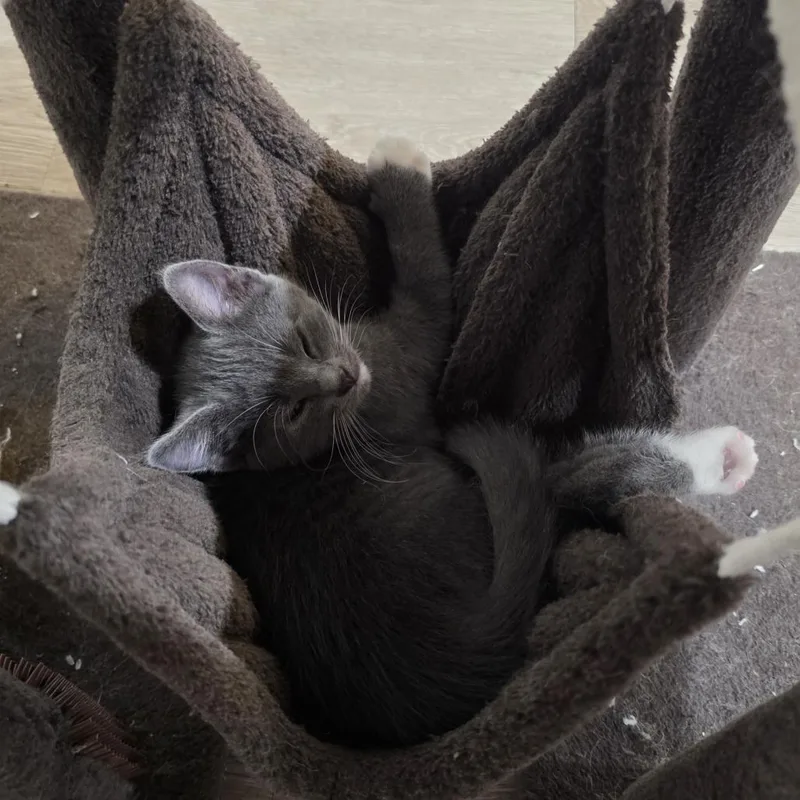 Beacon thumbnail 2