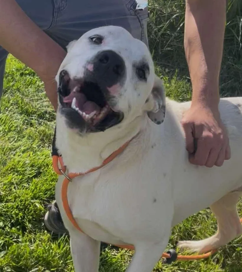 Cj Aka Jack thumbnail 2