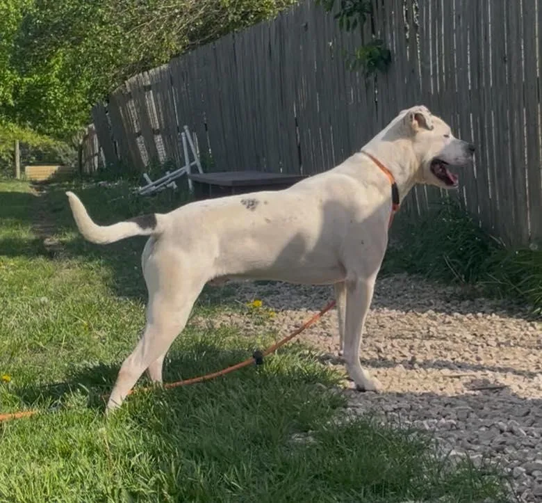 Cj Aka Jack thumbnail 3