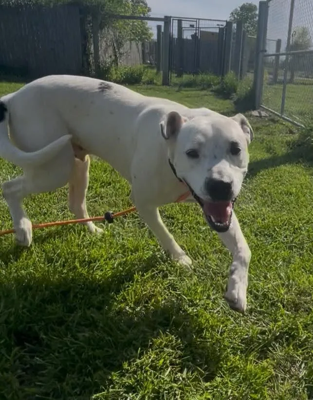 Cj Aka Jack thumbnail 4