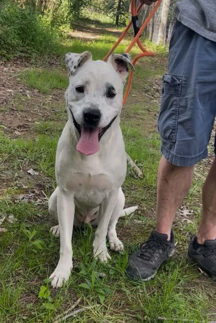 Cj Aka Jack thumbnail 5