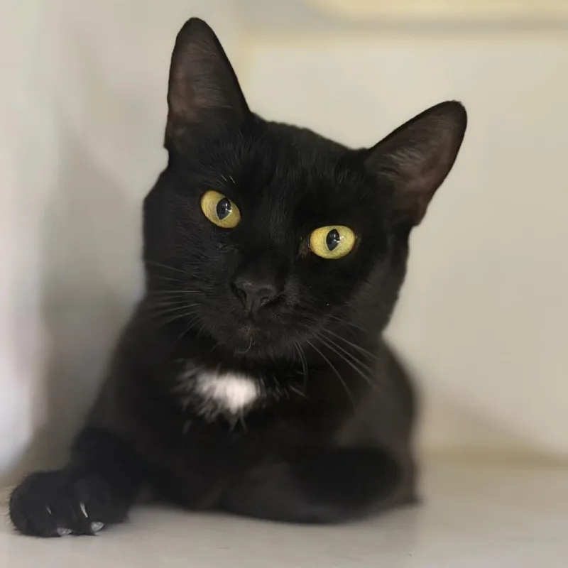 Mother Boo thumbnail 4