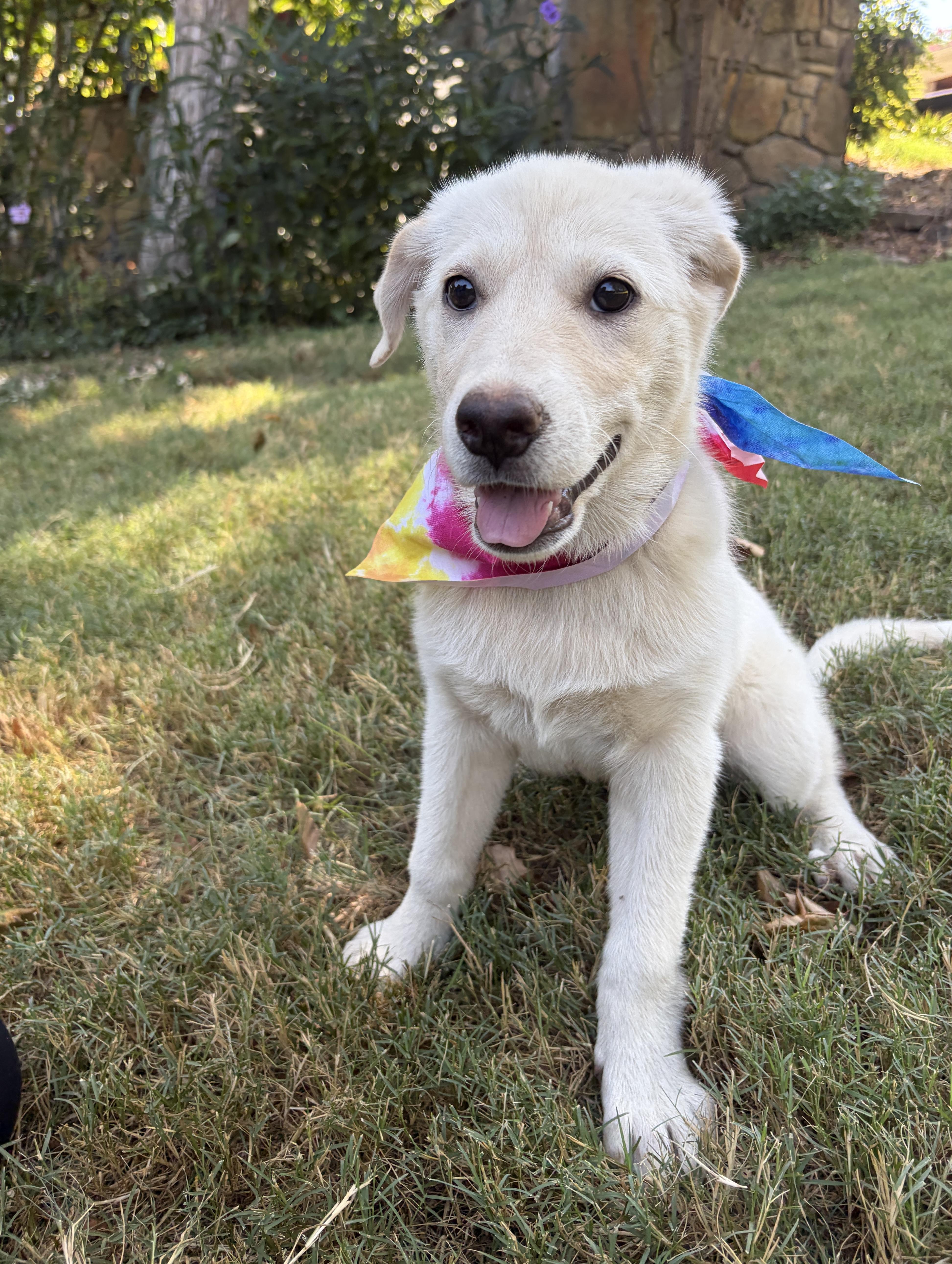 Butter thumbnail 3