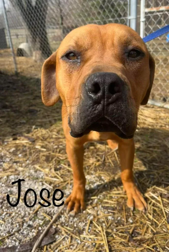 Jose thumbnail 5