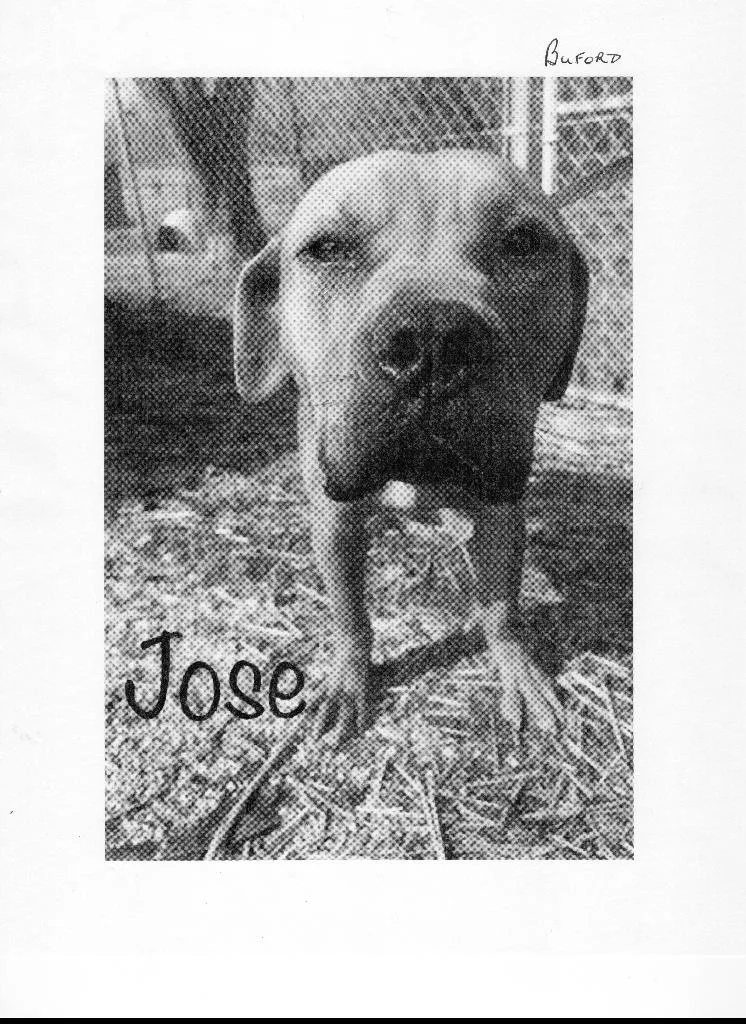 Jose thumbnail 6
