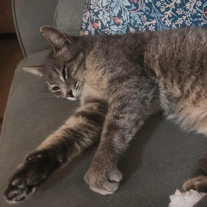 Tiki Ferguson thumbnail 2