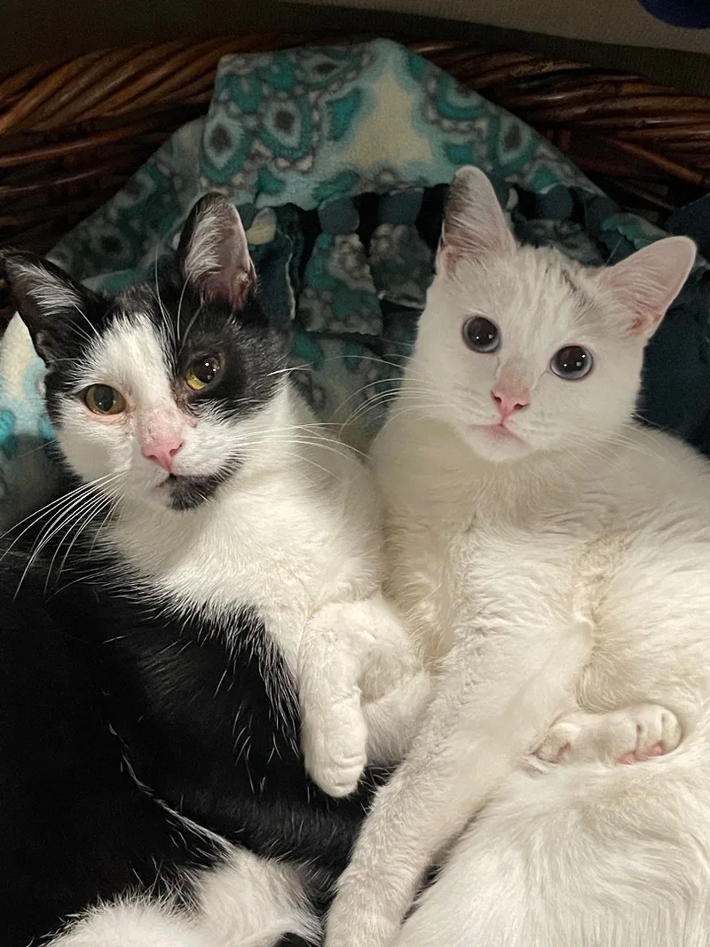 Billie Sue Bonded To thumbnail 6