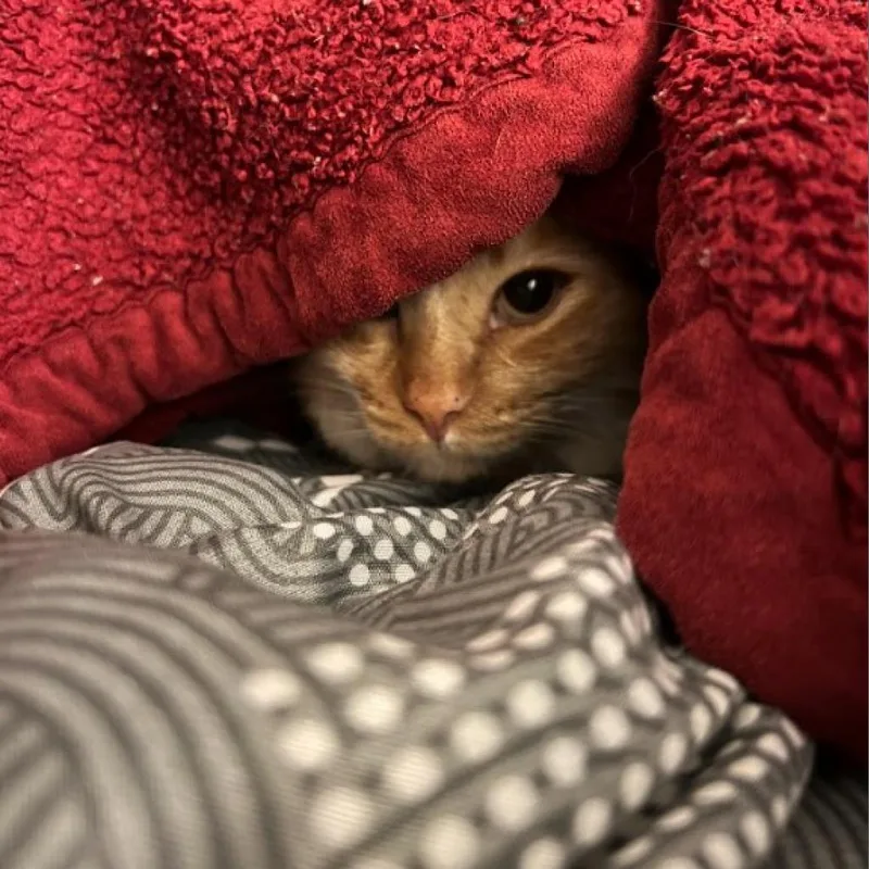 Mackenzie thumbnail 2