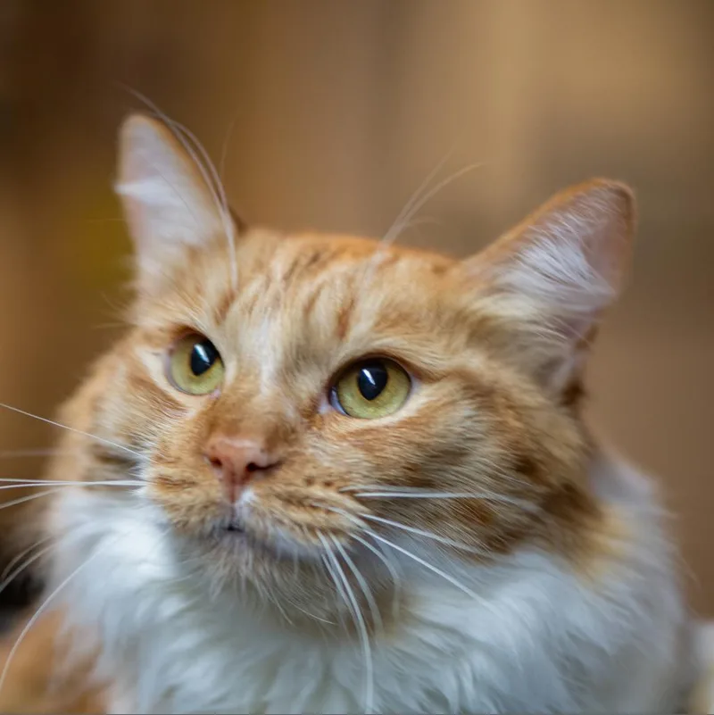 Mackenzie thumbnail 3