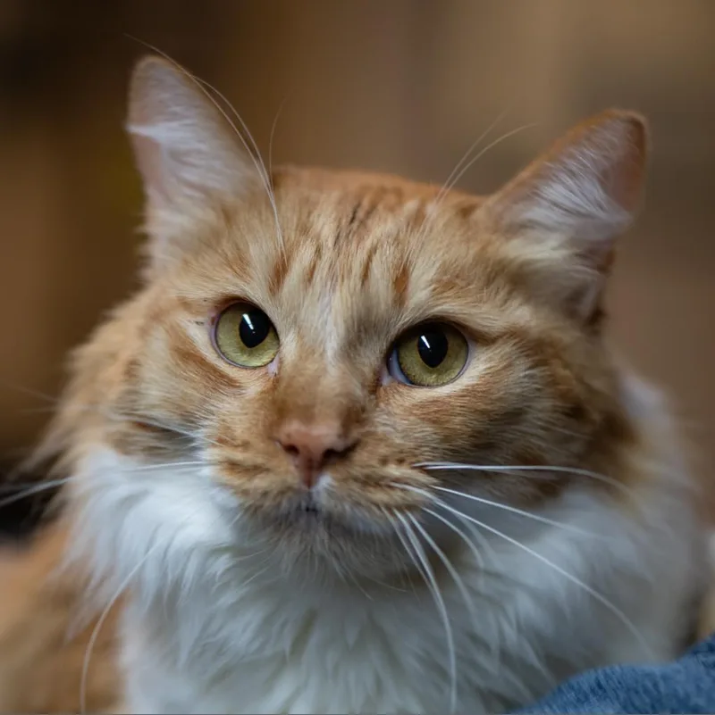 Mackenzie thumbnail 4