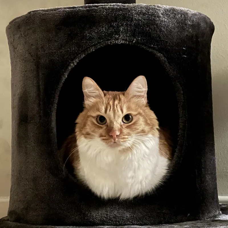 Mackenzie thumbnail 5