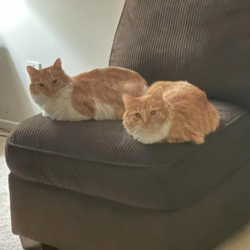 Mackenzie thumbnail 6