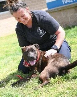 Da Burner thumbnail 3