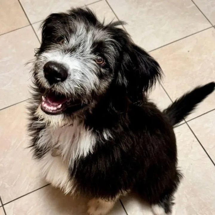 Matilda