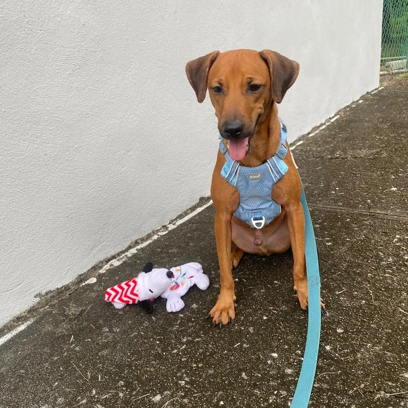 Julian "let's Be Best thumbnail 2