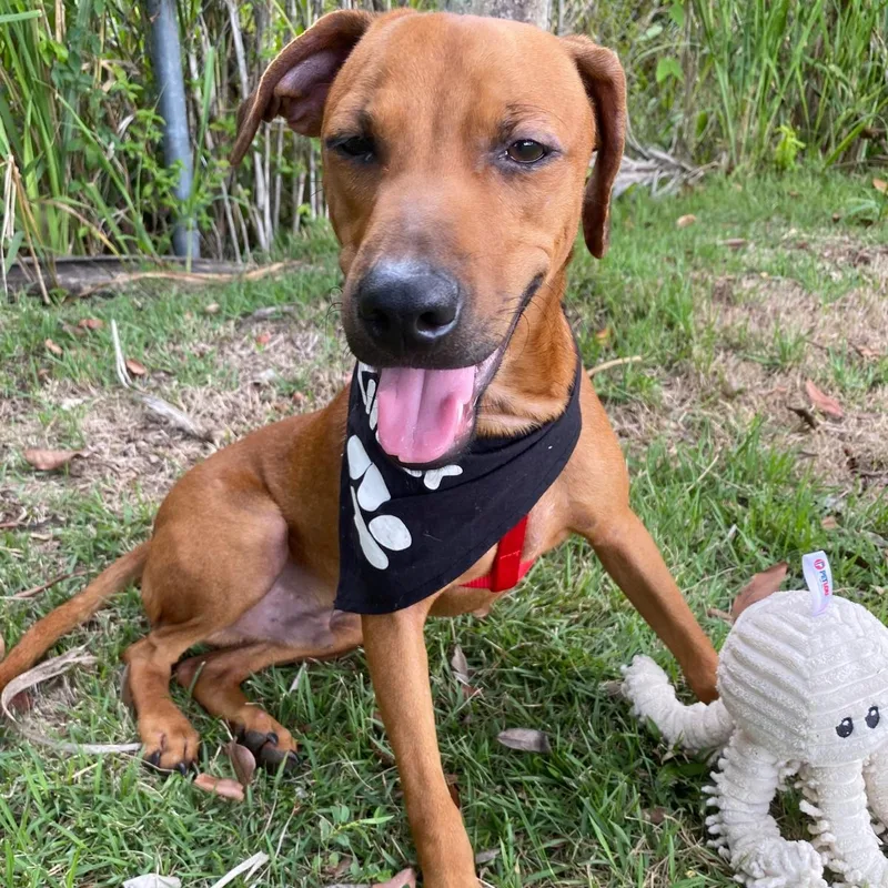 Julian "let's Be Best thumbnail 3