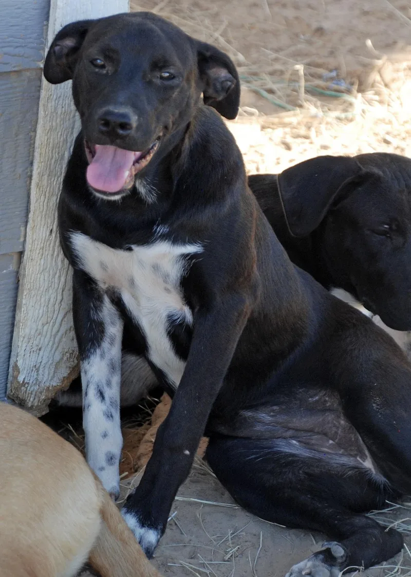 Orange Girl thumbnail 2