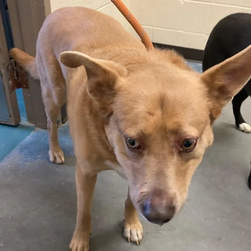 Notasiastormy thumbnail 2