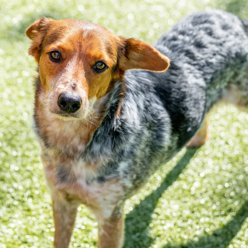 Fiona