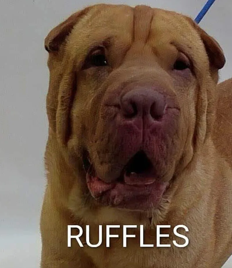 Mcruffles
