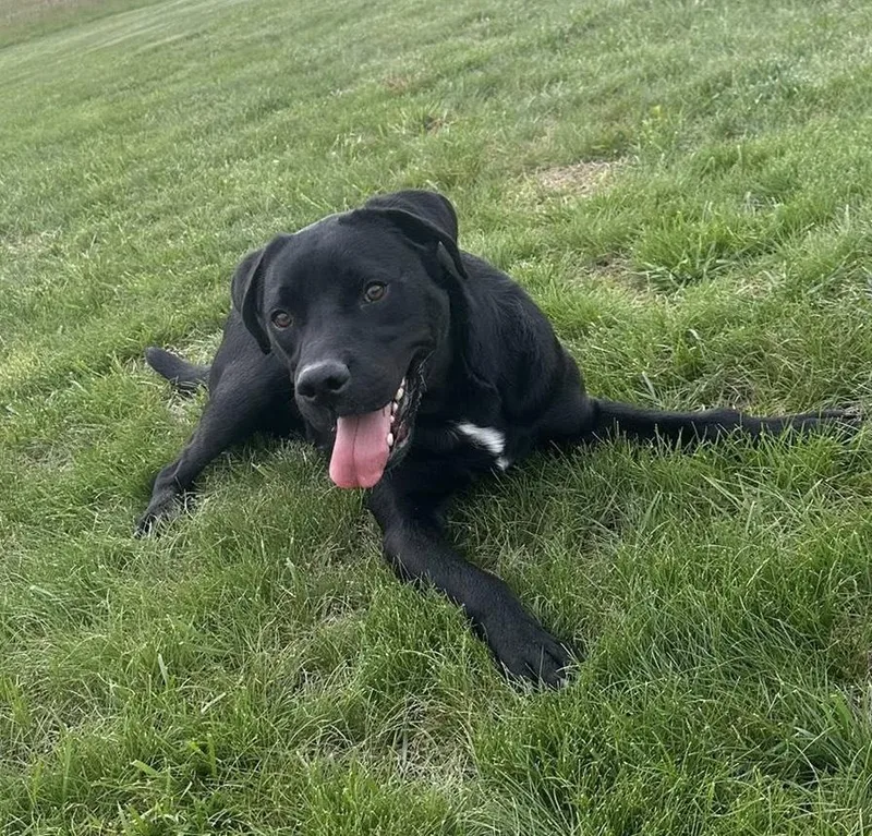 Nasa thumbnail 6