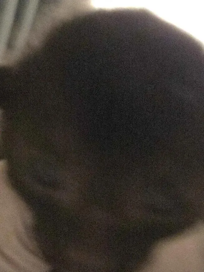 A baby small-sized female Black Siamese cat named Aretha for adoption in Grand Rapids, MI