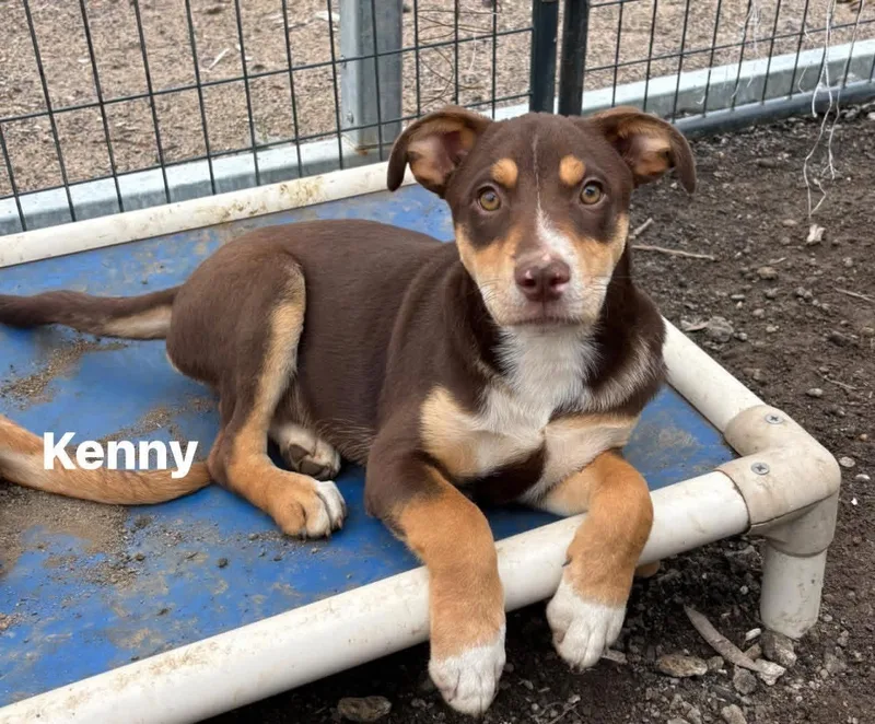 Kenny thumbnail 2