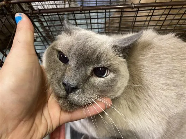 Lucy