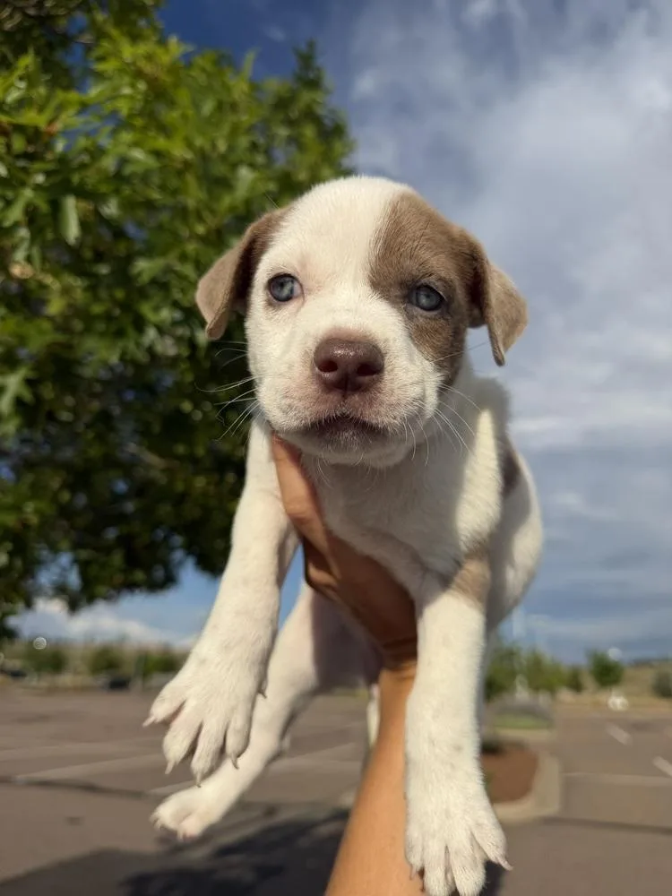 Stella Doe thumbnail 4