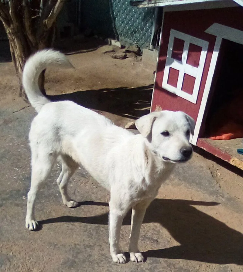 Ginny Of The Hogwarts thumbnail 2