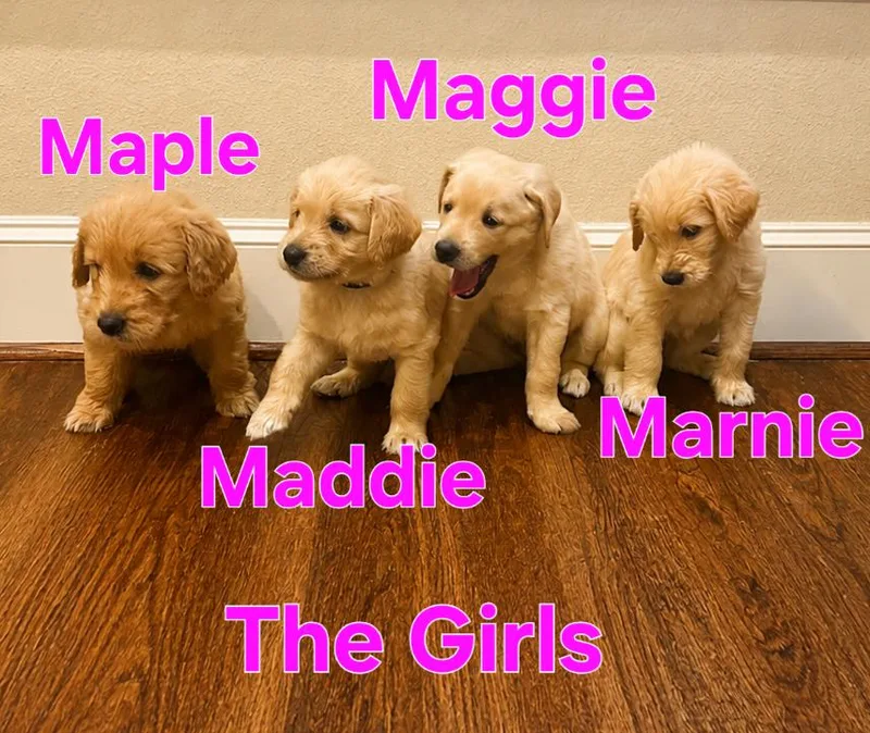 Marnie thumbnail 3