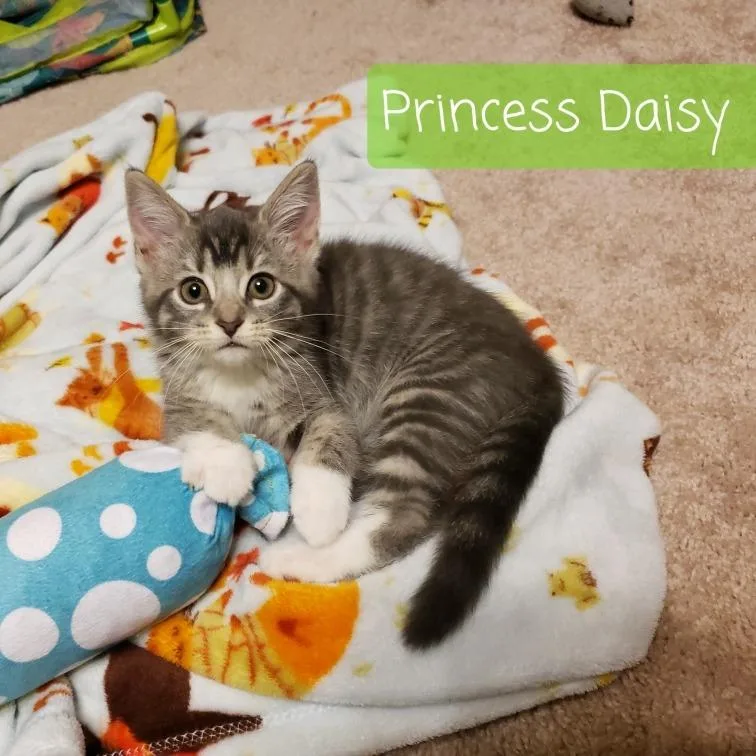 Princess Daisy thumbnail 2
