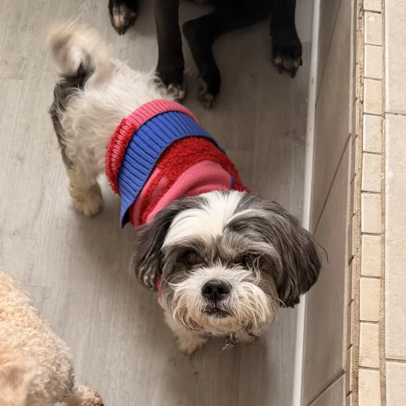 Trooper “true” thumbnail 3